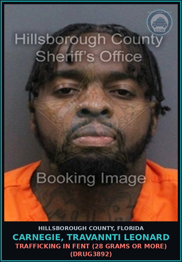 Booking mugshot of CARNEGIE, TRAVANNTI LEONARD in Hillsborough County