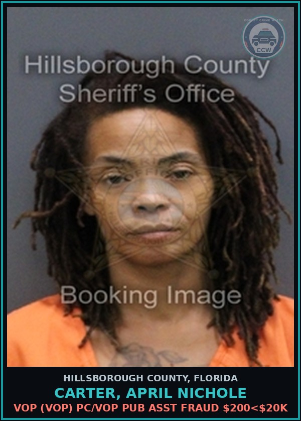 Booking mugshot of CARTER, APRIL NICHOLE in Hillsborough County