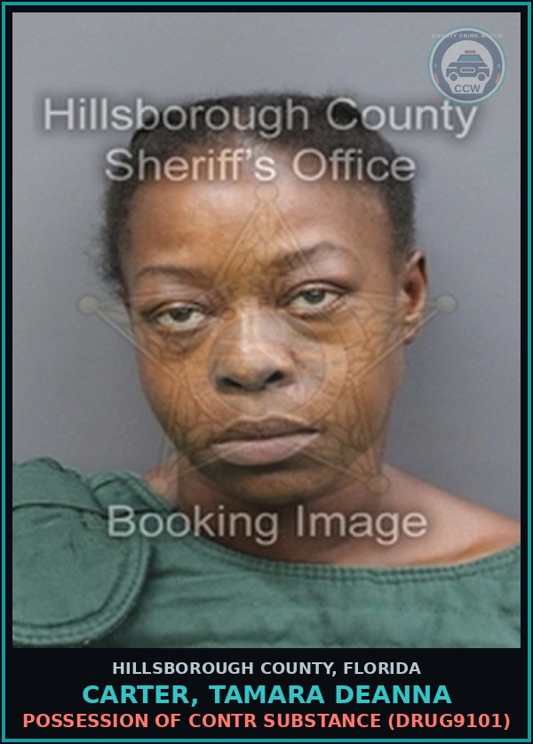 Booking mugshot of CARTER, TAMARA DEANNA in Hillsborough County