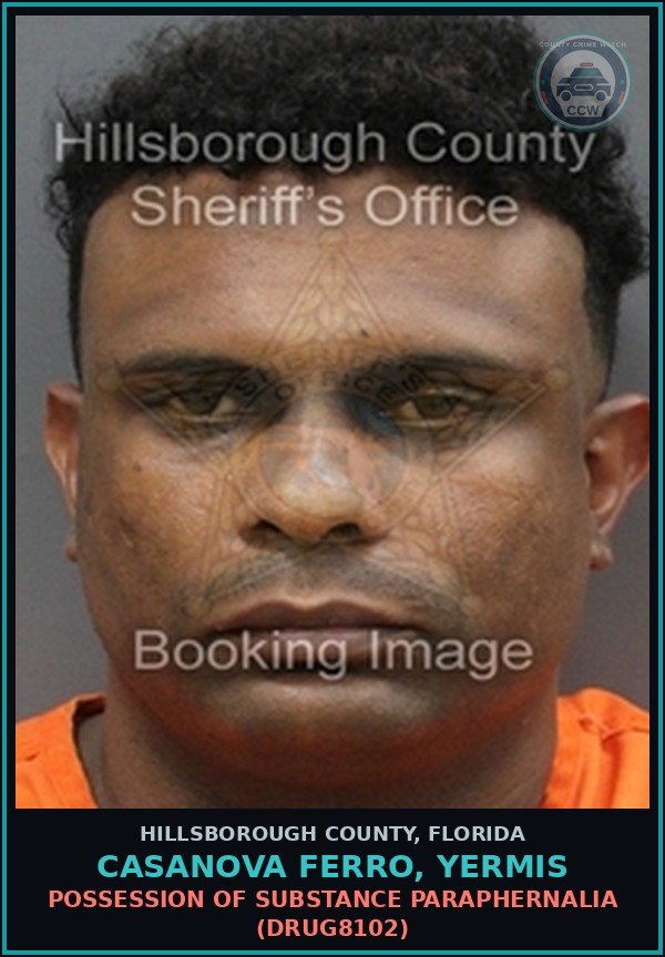 Booking mugshot of CASANOVA FERRO, YERMIS in Hillsborough County
