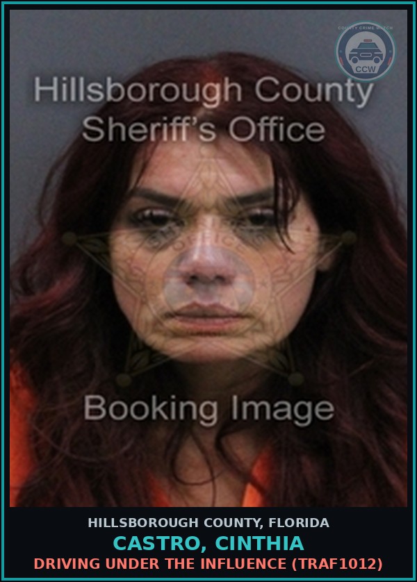 Booking mugshot of CASTRO, CINTHIA in Hillsborough County