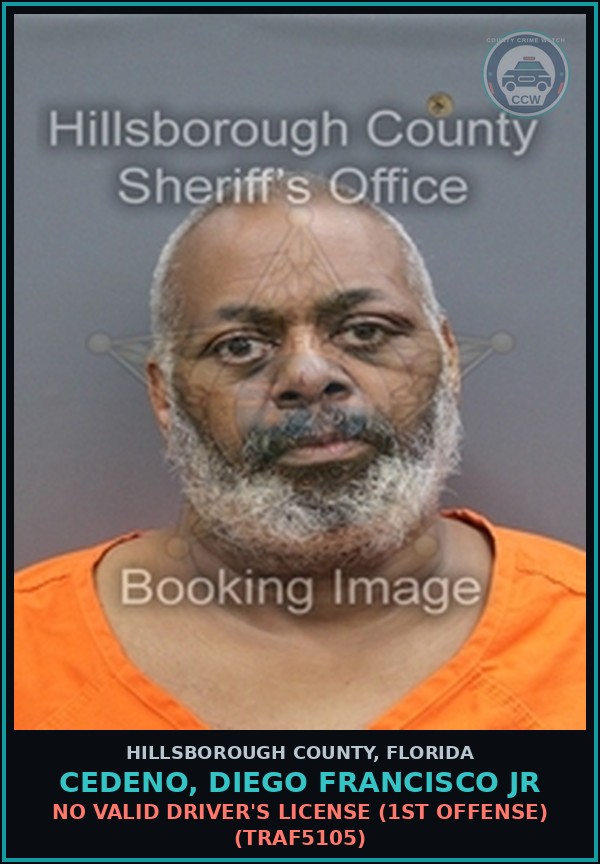 Booking mugshot of CEDENO, DIEGO FRANCISCO JR in Hillsborough County
