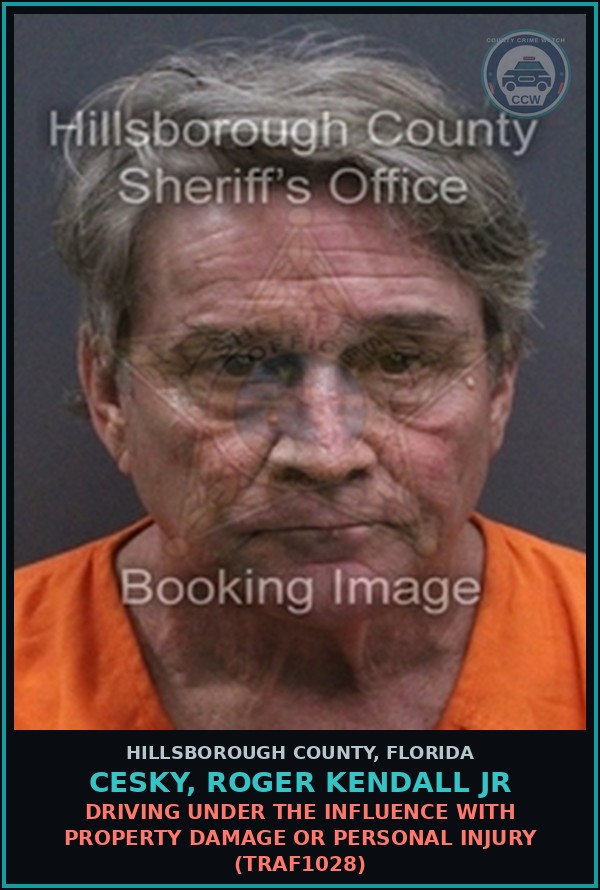 Booking mugshot of CESKY, ROGER KENDALL JR in Hillsborough County