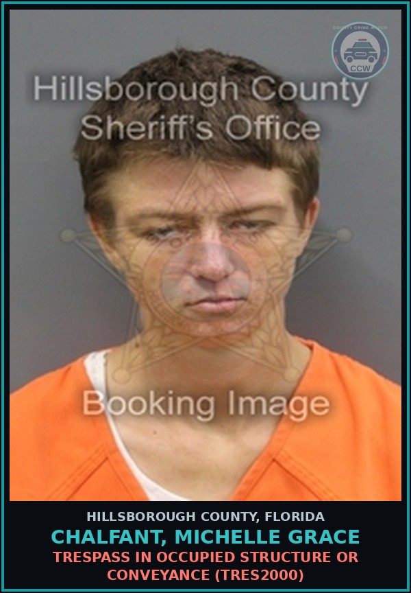 Booking mugshot of CHALFANT, MICHELLE GRACE in Hillsborough County