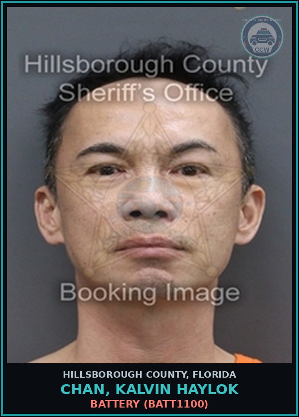 Booking mugshot of CHAN, KALVIN HAYLOK in Hillsborough County