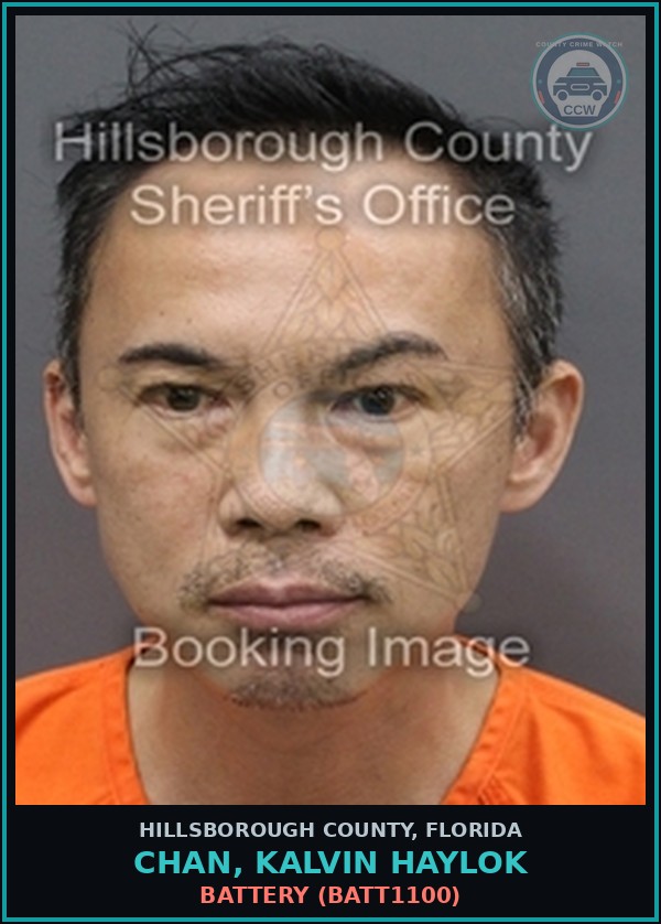 Booking mugshot of CHAN, KALVIN HAYLOK in Hillsborough County