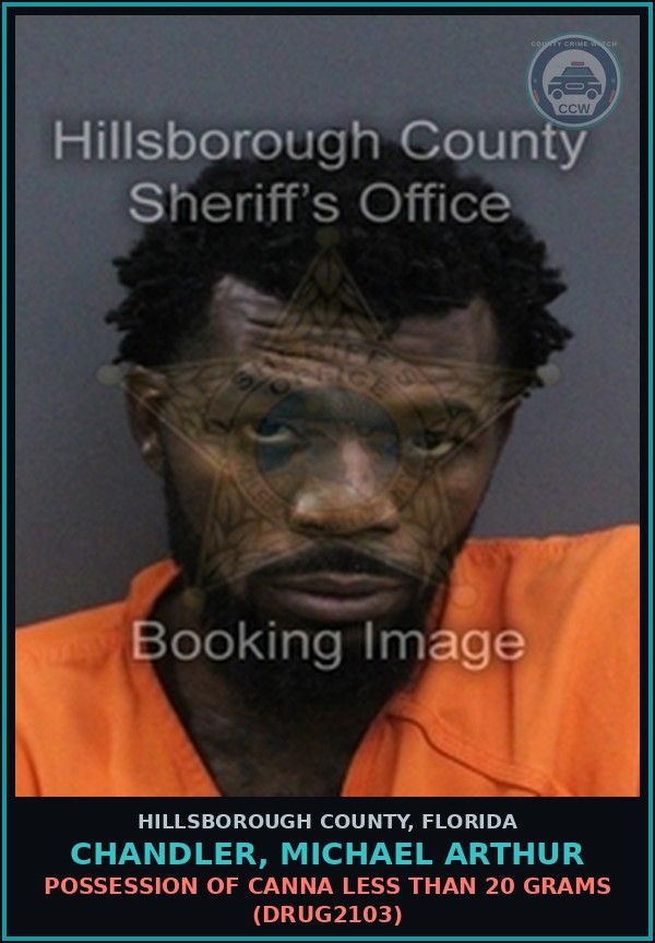 Booking mugshot of CHANDLER, MICHAEL ARTHUR in Hillsborough County