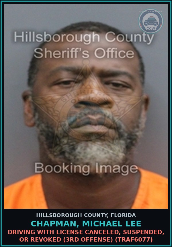 Booking mugshot of CHAPMAN, MICHAEL LEE in Hillsborough County