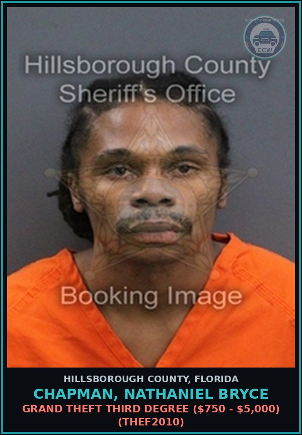 Booking mugshot of CHAPMAN, NATHANIEL BRYCE in Hillsborough County