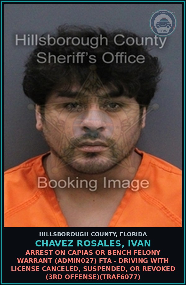 Booking mugshot of CHAVEZ ROSALES, IVAN in Hillsborough County