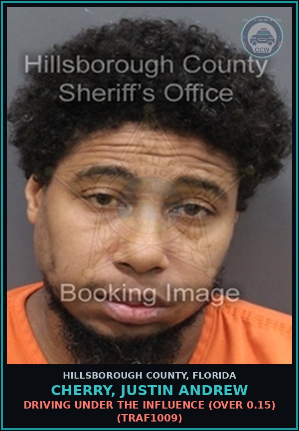 Booking mugshot of CHERRY, JUSTIN ANDREW in Hillsborough County