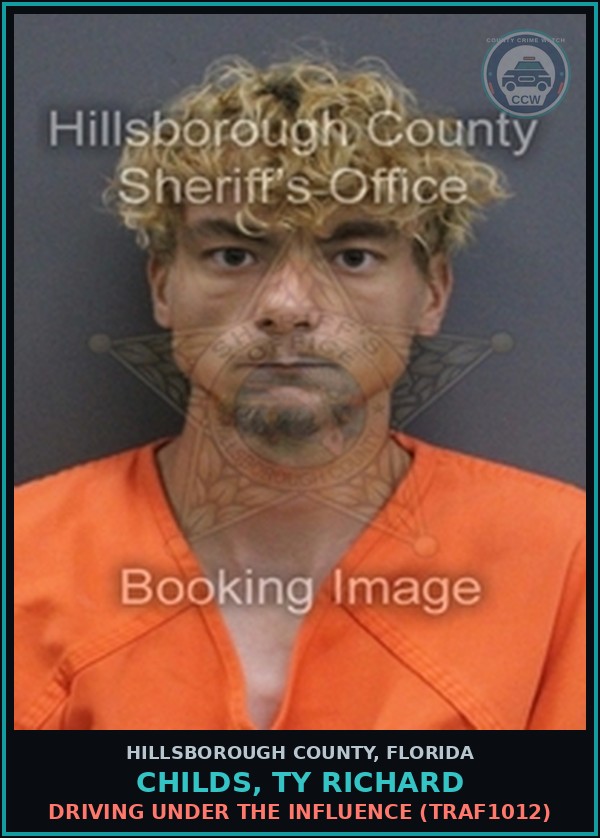 Booking mugshot of CHILDS, TY RICHARD in Hillsborough County