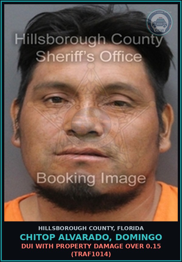 Booking mugshot of CHITOP ALVARADO, DOMINGO in Hillsborough County