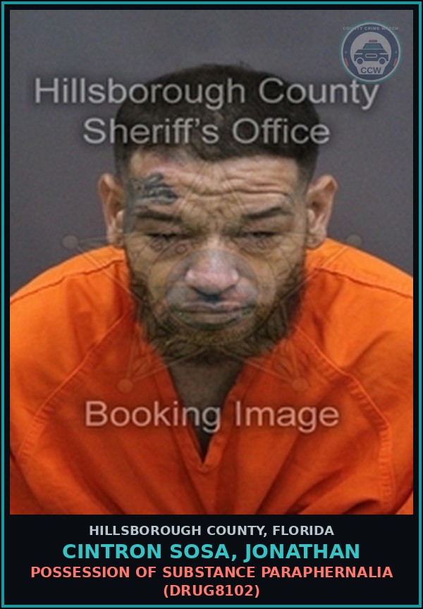 Booking mugshot of CINTRON SOSA, JONATHAN in Hillsborough County