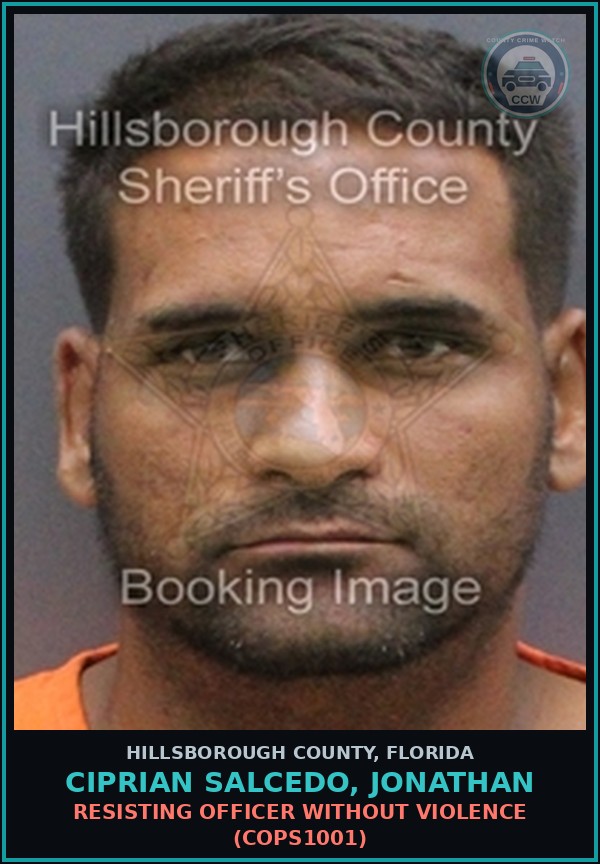 Booking mugshot of CIPRIAN SALCEDO, JONATHAN in Hillsborough County