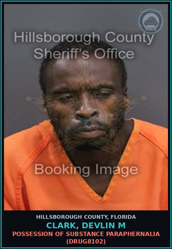 Booking mugshot of CLARK, DEVLIN M in Hillsborough County