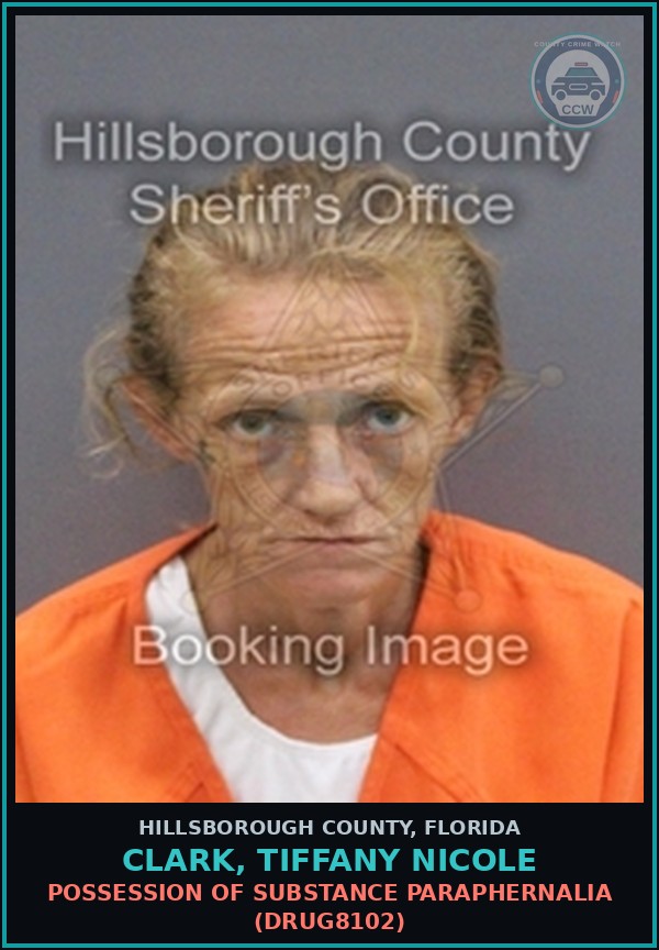 Booking mugshot of CLARK, TIFFANY NICOLE in Hillsborough County