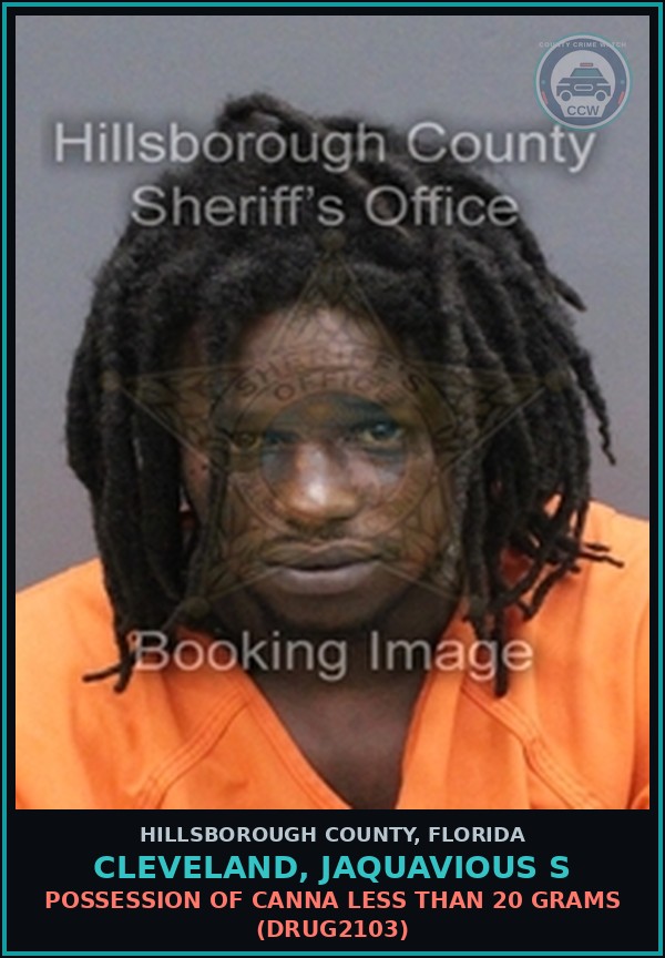Booking mugshot of CLEVELAND, JAQUAVIOUS S in Hillsborough County