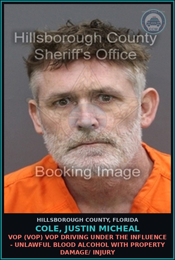 Booking mugshot of COLE, JUSTIN MICHEAL in Hillsborough County