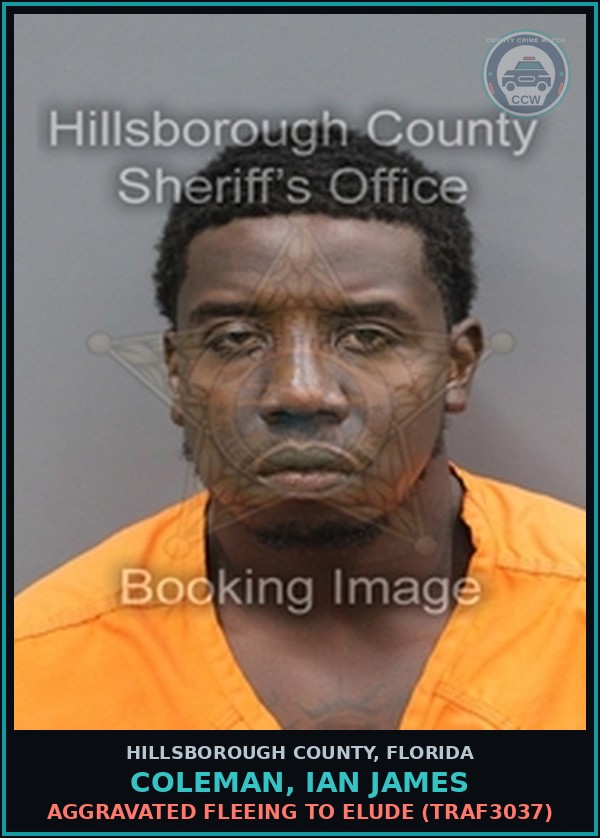 Booking mugshot of COLEMAN, IAN JAMES in Hillsborough County