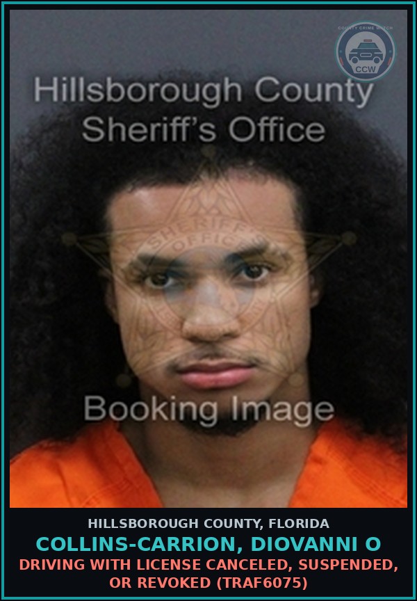 Booking mugshot of COLLINS-CARRION, DIOVANNI O in Hillsborough County