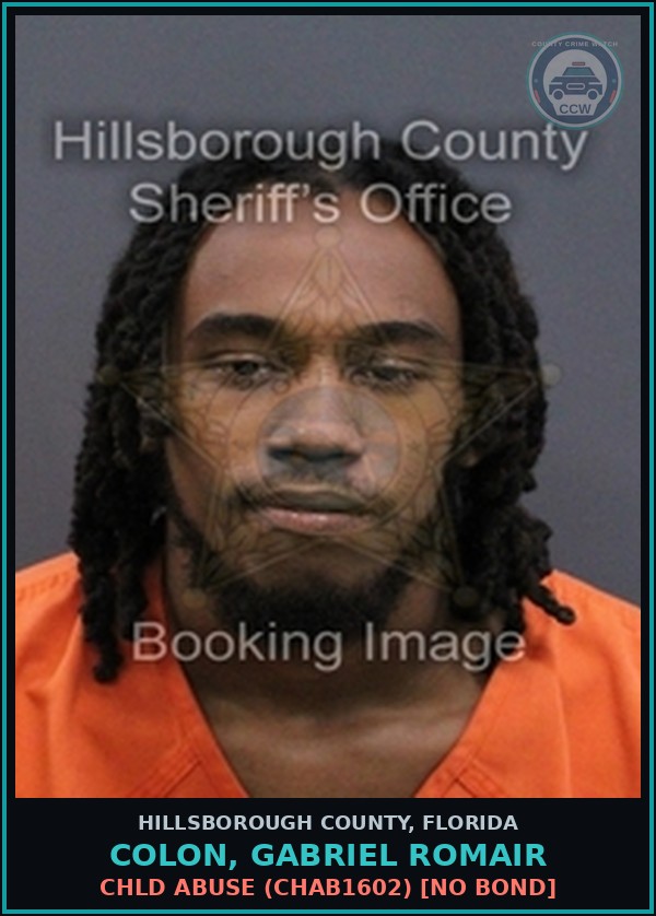 Booking mugshot of COLON, GABRIEL ROMAIR in Hillsborough County