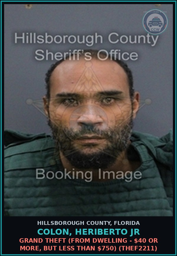 Booking mugshot of COLON, HERIBERTO JR in Hillsborough County