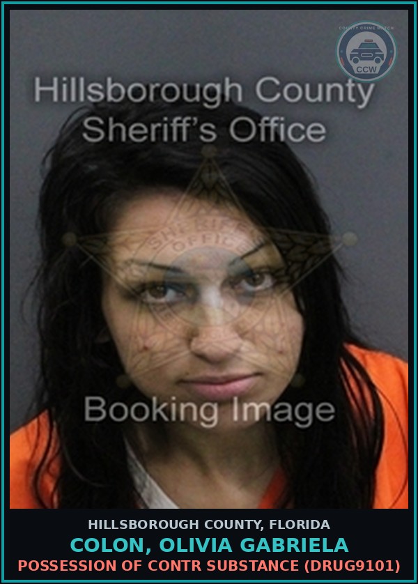 Booking mugshot of COLON, OLIVIA GABRIELA in Hillsborough County