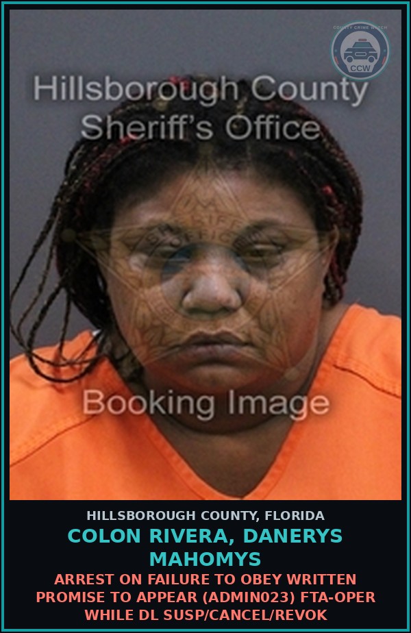 Booking mugshot of COLON RIVERA, DANERYS MAHOMYS in Hillsborough County