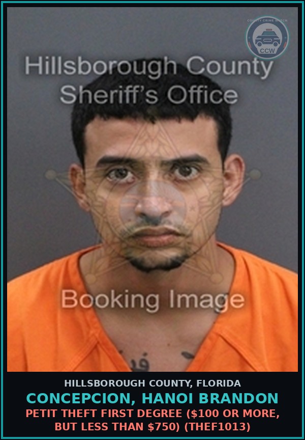 Booking mugshot of CONCEPCION, HANOI BRANDON in Hillsborough County
