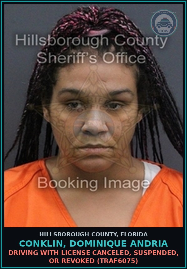 Booking mugshot of CONKLIN, DOMINIQUE ANDRIA in Hillsborough County