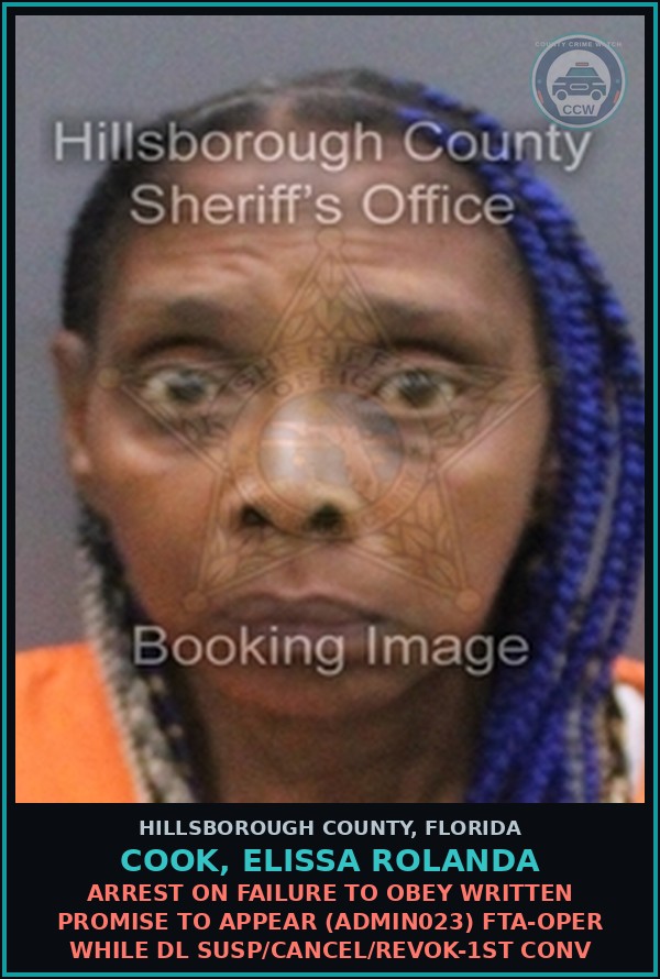 Booking mugshot of COOK, ELISSA ROLANDA in Hillsborough County