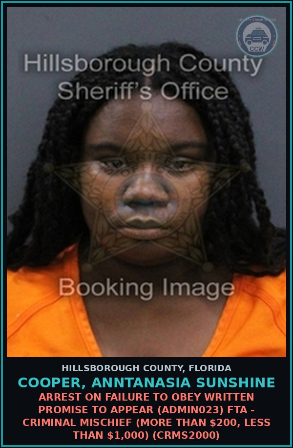 Booking mugshot of COOPER, ANNTANASIA SUNSHINE in Hillsborough County