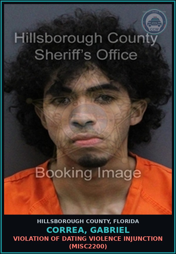 Booking mugshot of CORREA, GABRIEL in Hillsborough County