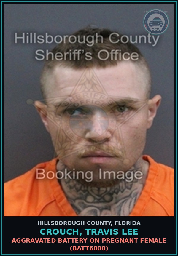 Booking mugshot of CROUCH, TRAVIS LEE in Hillsborough County