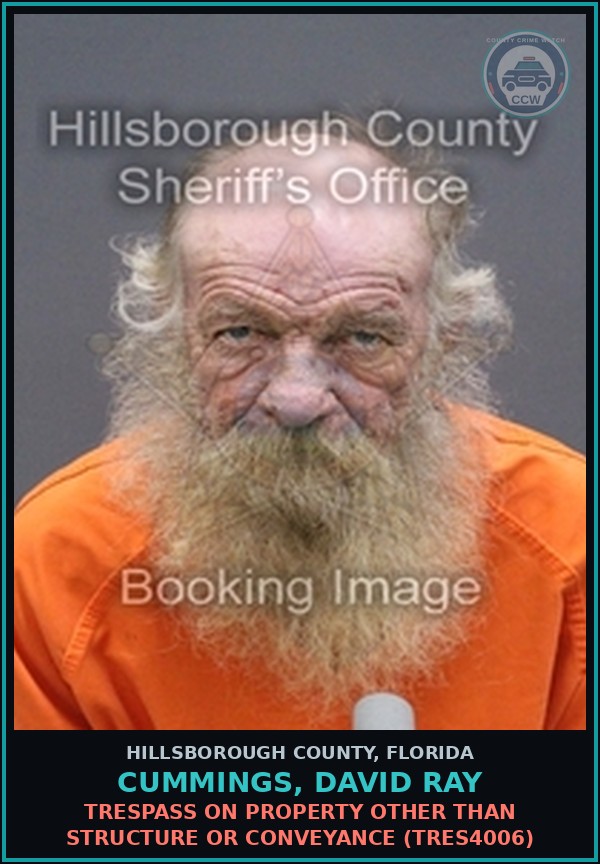 Booking mugshot of CUMMINGS, DAVID RAY in Hillsborough County