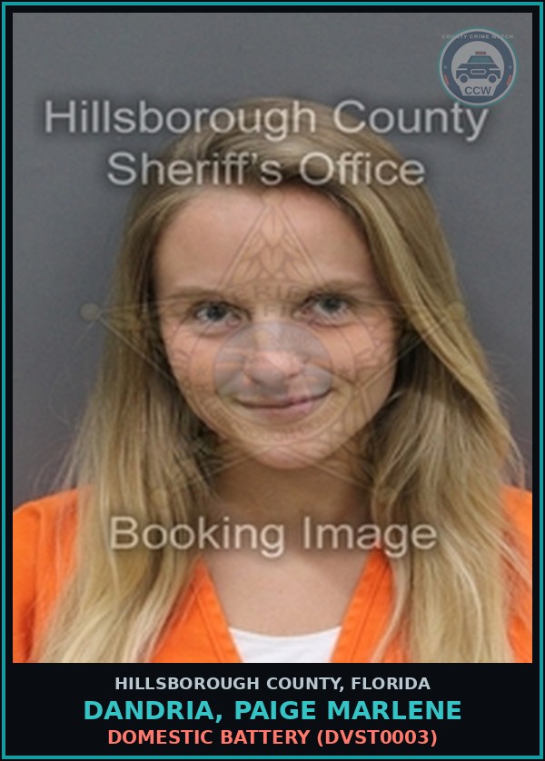 Booking mugshot of DANDRIA, PAIGE MARLENE in Hillsborough County