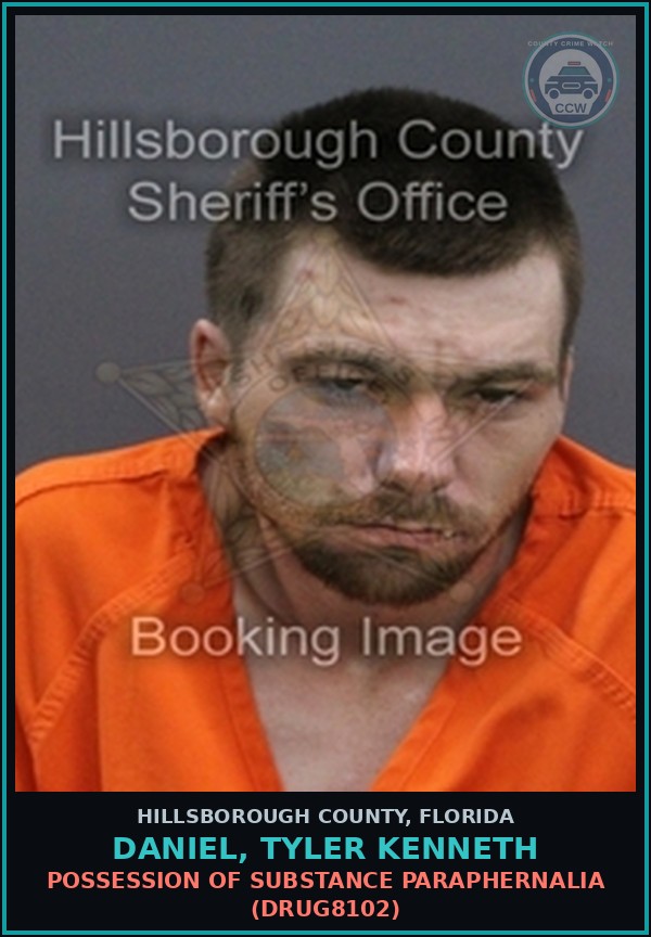 Booking mugshot of DANIEL, TYLER KENNETH in Hillsborough County