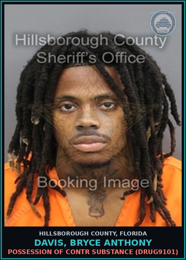 Booking mugshot of DAVIS, BRYCE ANTHONY in Hillsborough County