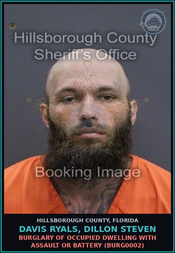 Booking mugshot of DAVIS RYALS, DILLON STEVEN in Hillsborough County
