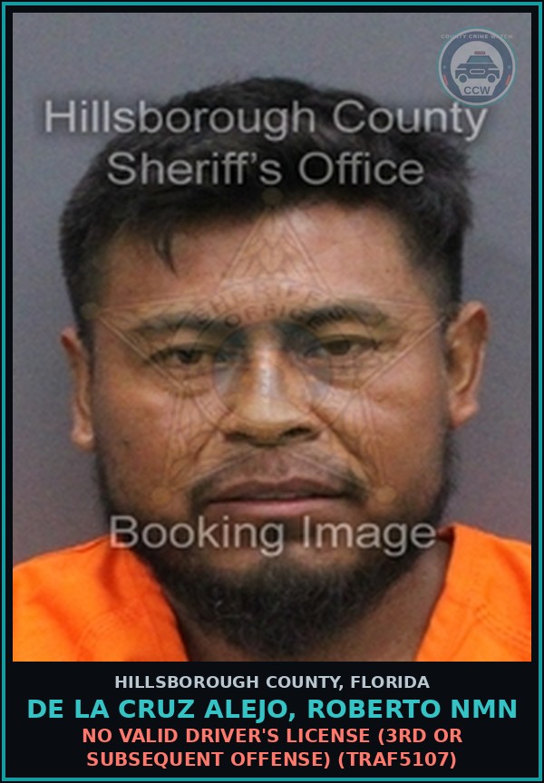 Booking mugshot of DE LA CRUZ ALEJO, ROBERTO NMN in Hillsborough County