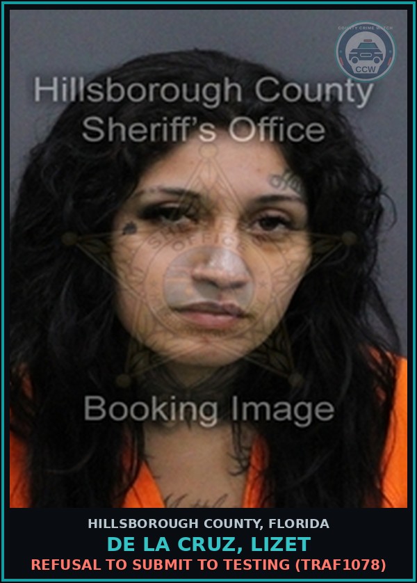 Booking mugshot of DE LA CRUZ, LIZET in Hillsborough County