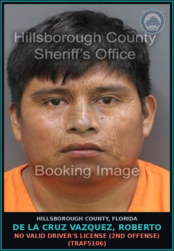 Booking mugshot of DE LA CRUZ VAZQUEZ, ROBERTO in Hillsborough County
