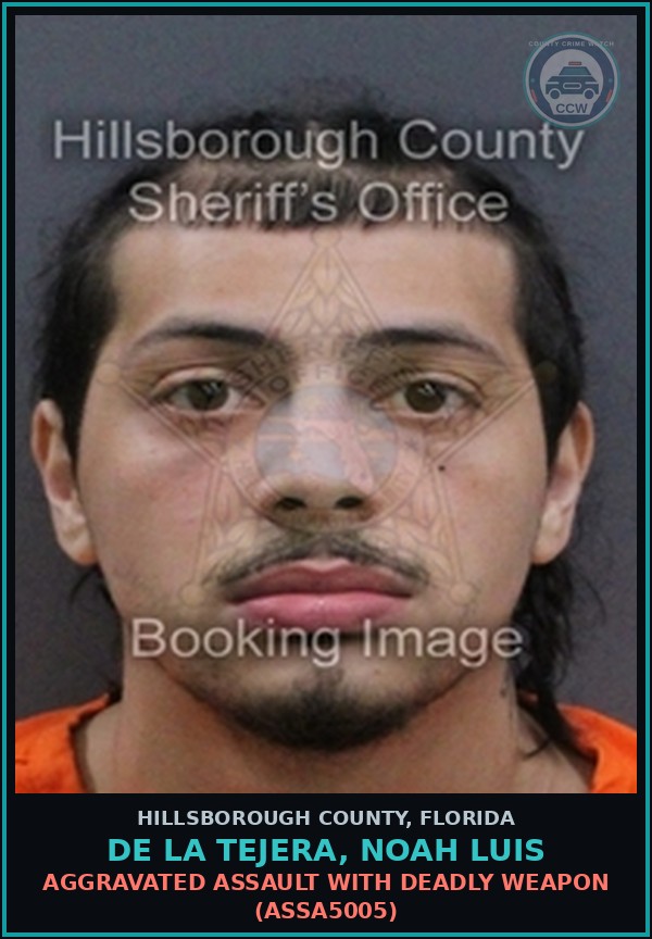 Booking mugshot of DE LA TEJERA, NOAH LUIS in Hillsborough County