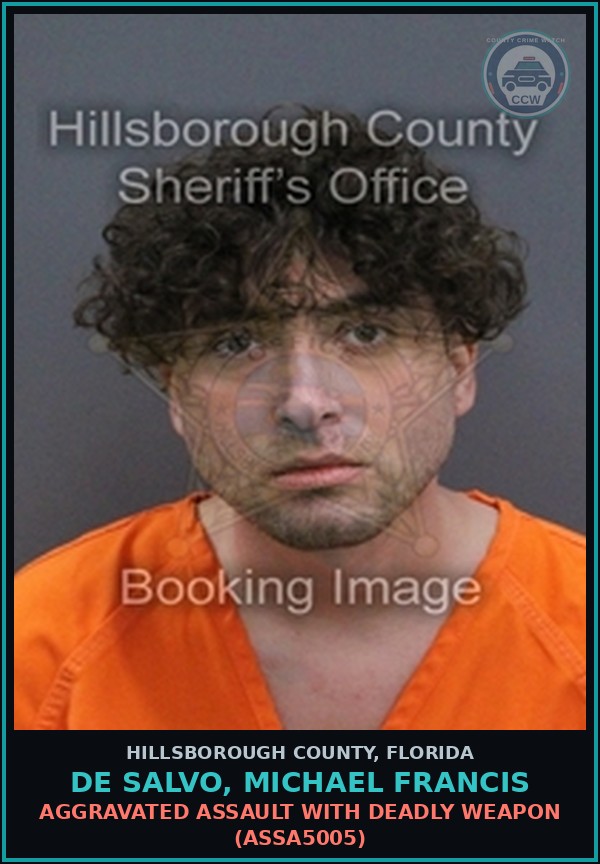Booking mugshot of DE SALVO, MICHAEL FRANCIS in Hillsborough County