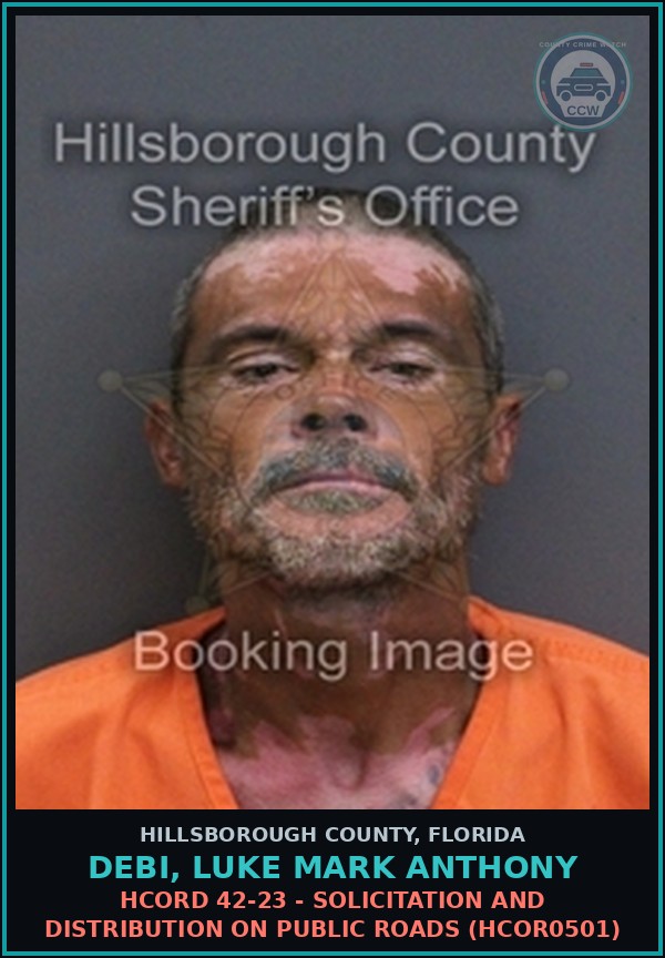 Booking mugshot of DEBI, LUKE MARK ANTHONY in Hillsborough County