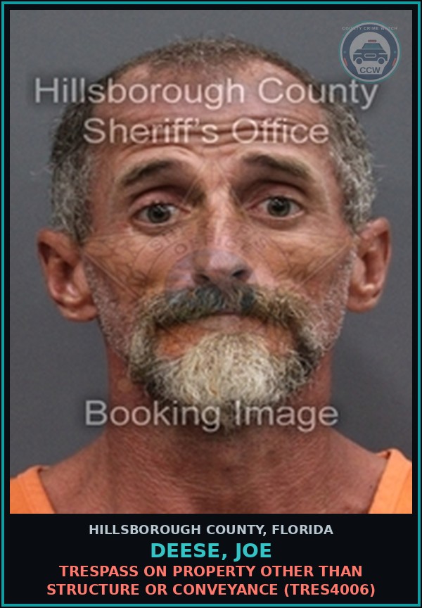 Booking mugshot of DEESE, JOE in Hillsborough County