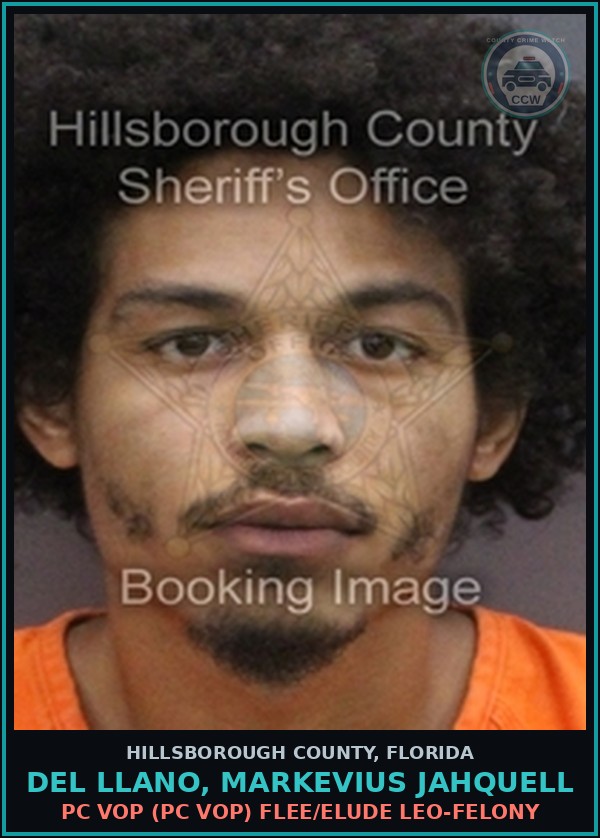 Booking mugshot of DEL LLANO, MARKEVIUS JAHQUELL in Hillsborough County