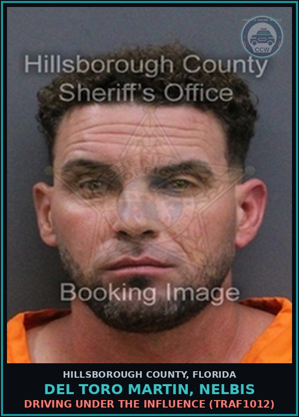 Booking mugshot of DEL TORO MARTIN, NELBIS in Hillsborough County