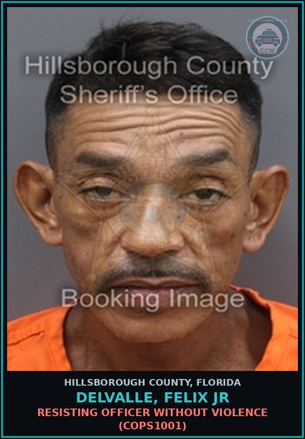 Booking mugshot of DELVALLE, FELIX JR in Hillsborough County